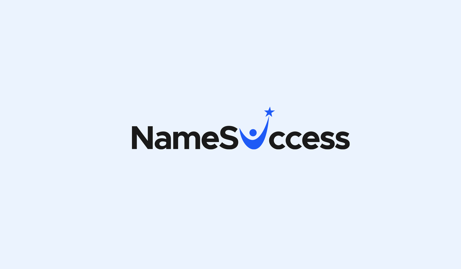 namesuccess.com 