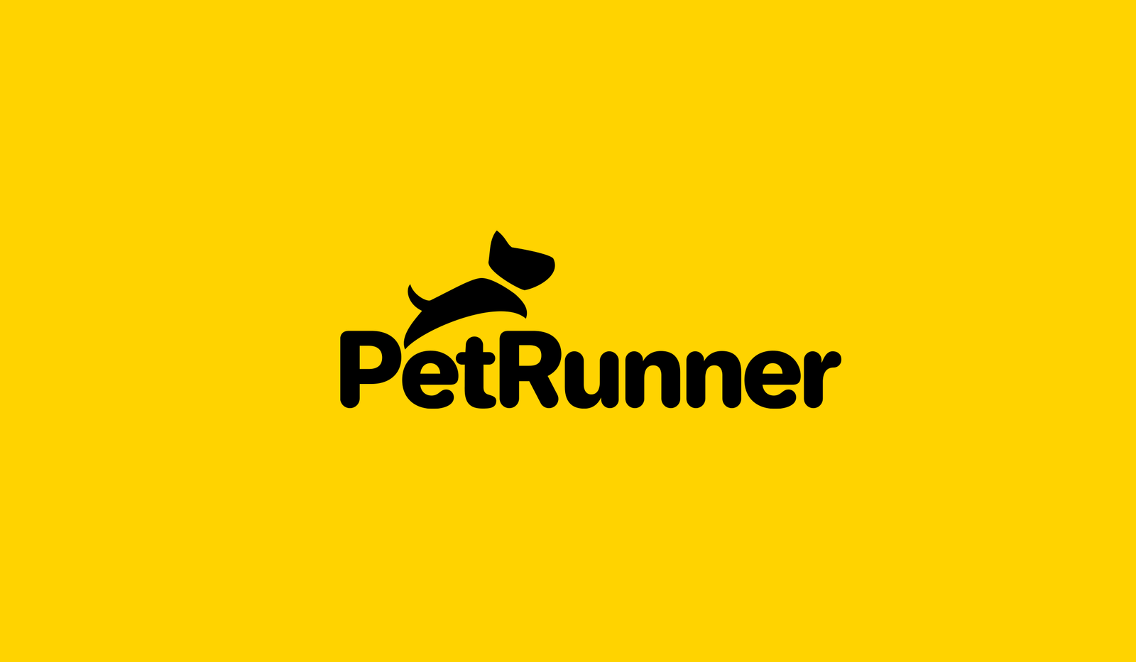 petrunner.com 